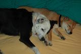 brooklyn2004_21