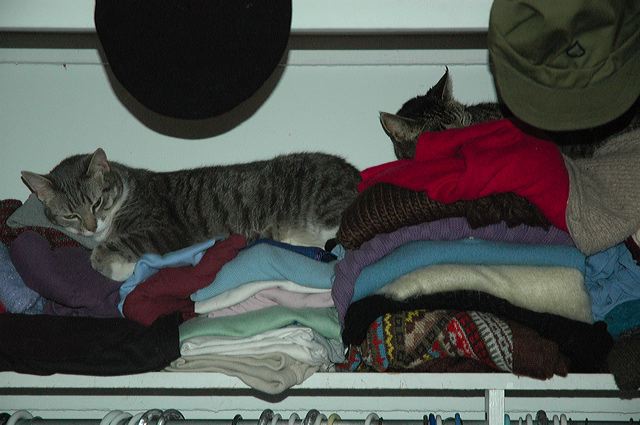 brooklyn2004_23.jpg