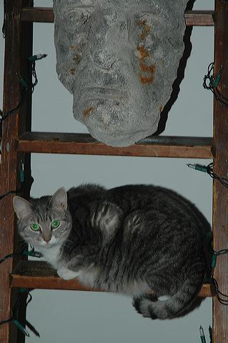 2005-01-29-12-56-37.jpg