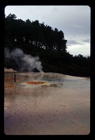 nz07.jpg