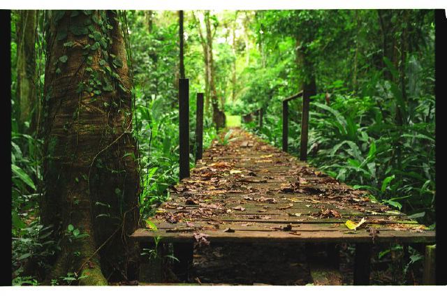 costarica102.jpg