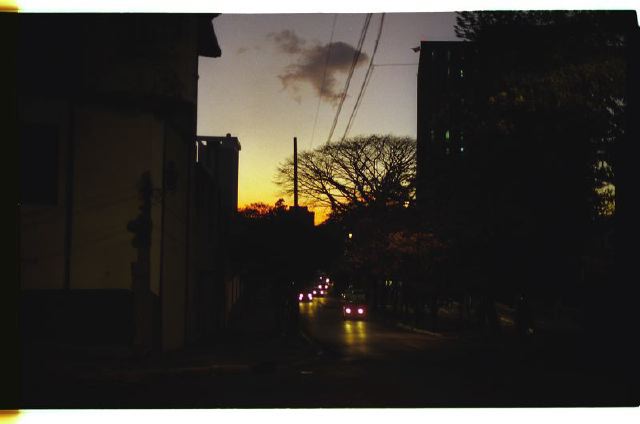 costarica2008_7.jpg