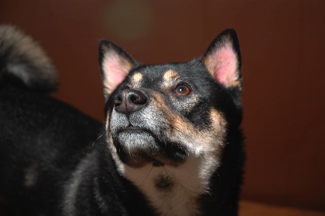 2005-11-24-15-42-50.jpg