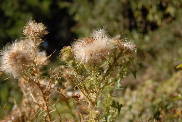 2006-09-24-17-42-16.jpg