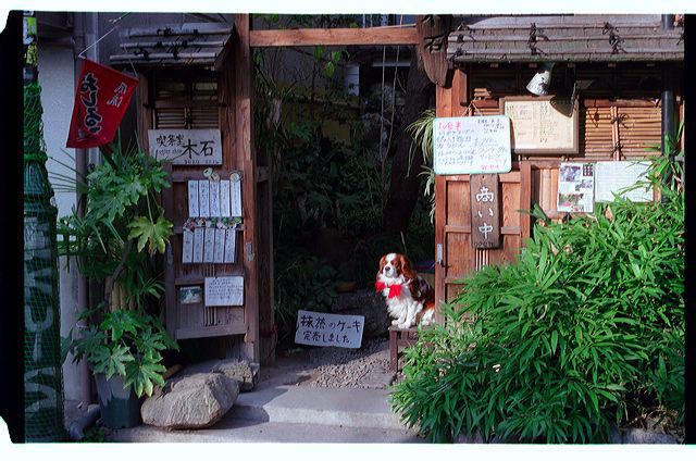tokyo_16.jpg