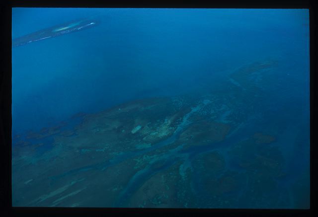 viequesmar2006_007.jpg