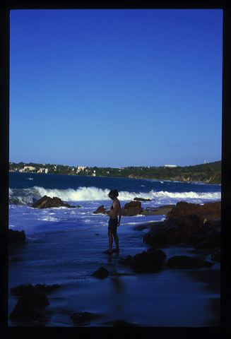 viequesmar2006_017.jpg